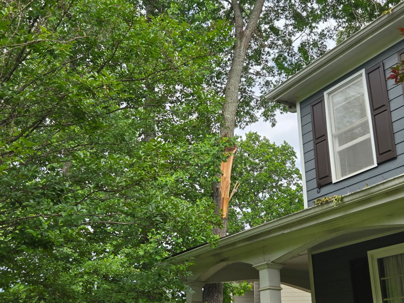 Tree impact damage adjacent to a residential structure